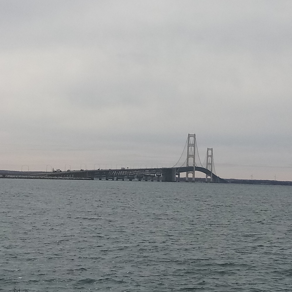 Meet your Posher, Jamila